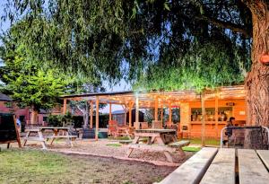 a picnic area with picnic tables under a tree at Beech Tree Park Cottages in Hatfield