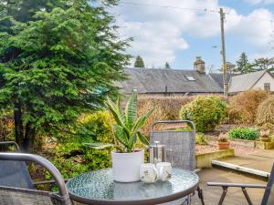 a patio table with mugs and a plant on it at Jessamine Cottage in Blairgowrie
