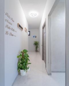 a hallway with potted plants in a building at Via del Mare in Giba