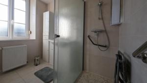 a shower with a glass door in a bathroom at Les Gîtes d'Argonne in Rarécourt