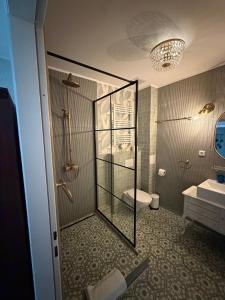 a bathroom with a shower and a toilet and a sink at 2 SZ Ferienwohnung Hamburg zentral Parkplatz BoLA 24 in Hamburg