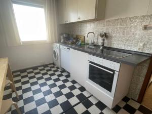 a kitchen with a sink and a dishwasher at Easy Stay Valencia in Oberboihingen