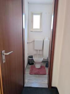 a bathroom with a toilet and a window at Easy Stay Valencia in Oberboihingen