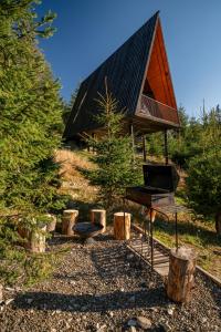a small cabin with a piano and a house with a roof at УЛІС Ворохта in Vorokhta