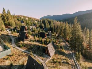 an aerial view of a forest with trees and huts at УЛІС Ворохта in Vorokhta +32 photos