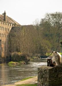 Foto sihtkohas Thomastown asuva majutusasutuse Viewmount galeriist