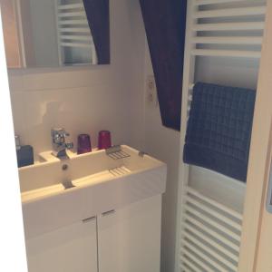 een badkamer met een wastafel en een ladder bij B&B Bekersveld in Vlezenbeek