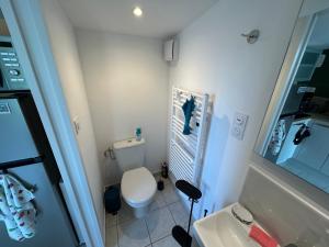 a small bathroom with a toilet and a sink at Le Petit Studio de Merlimont in Merlimont +34 photos