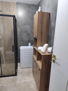 a bathroom with a shower and a toilet and a door at Vivien Residence 2 in Baia Mare