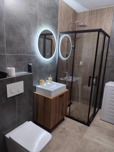 a bathroom with a toilet and a sink and a mirror at Vivien Residence 2 in Baia Mare