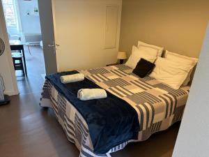 a bedroom with a large bed with two pillows on it at centre Pau proche Chateau et gare 33 m2 in Pau