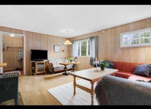 a living room with a couch and a table at Fjellhytte Rauland in Austbø