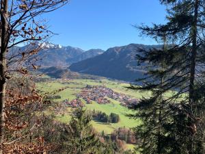 a town in a valley with mountains in the background at Haus Bergsteigerglück in Schleching