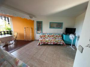 a living room with a couch and a tv at Ti' Cocon Caritan in Sainte-Anne