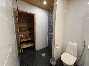 a bathroom with a toilet and a walk in shower at Apartment Annalantie in Pyhäjoki