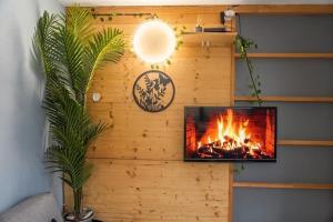 a fireplace in a room with a tv on a wall at Doux Pavillon - Le Patio in Nice +8 photos