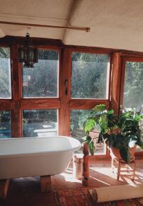 a bath tub in a room with windows at tausend plus eine nacht in Vöhl +17 photos