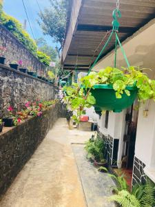 a hanging pot of plants on the side of a building at Tea Leaf Family Cottage in Bandarawela