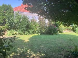 a yard with green grass and trees and a building at Ferienhaus Marhardt in Oslip