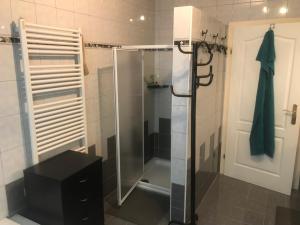 a shower with a glass door in a bathroom at Ferienhaus Marhardt in Oslip +9 photos