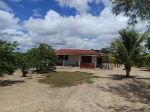 a house on the beach with a palm tree at Recanto Família lima e Silva in Garanhuns