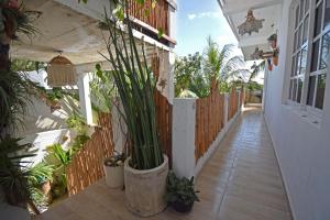a hallway of a house with potted plants at Casa Nomis Cancun in Cancún