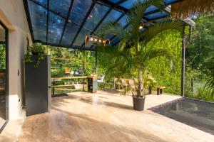 a glass house with a palm tree on a patio at Con Amor Caribe - New 240 sqm Villa & Private Pool in Puerto Viejo
