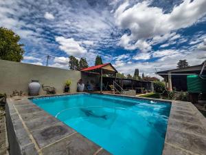 a swimming pool with a shark in the water at Die Suidwester Gastehuis in Parys