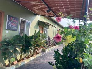 a building with flowers and plants in front of it at Road Trip Retreat in Belagula