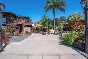a street in a resort with a palm tree at Island Surf 304 - Renovated, Ocean Views, Split AC in Kihei