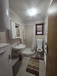 a small bathroom with a sink and a toilet at Studio apartman Vrba in Otočac +5 photos