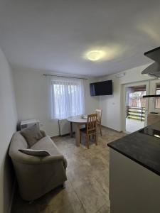 a living room with a couch and a table at Studio apartman Vrba in Otočac