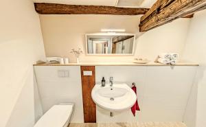 a bathroom with a sink and a toilet at himmlischer Hof - Juwel von 1477 mit P, romantischer Innenhof, Kamin, Öko, Denkmal in Quedlinburg +69 photos