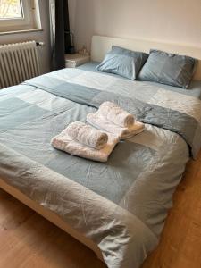 a bed with a towel on top of it at Studio chez Zhang in Differdange