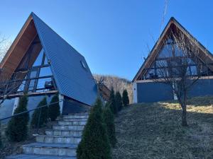 a house with a metal roof and stairs at La TRIUNGHIURI in Târgu Ocna
