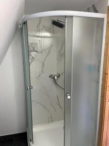 a shower with a glass door in a bathroom at La TRIUNGHIURI in Târgu Ocna