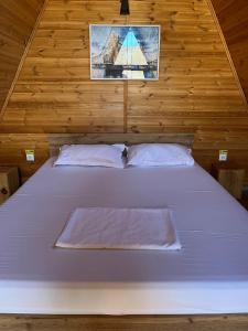 a bed with two pillows in a wooden room at La TRIUNGHIURI in Târgu Ocna