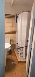 a bathroom with a toilet and a shower curtain at γαληνη in Vamos
