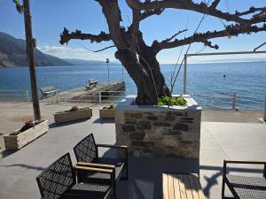 a tree sitting next to a body of water at Ilia Suites "Thalassa" in Ilia