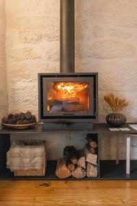 a fireplace on a shelf in a living room at Bravia Country House in Fafião +44 photos