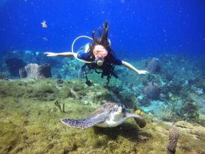 a woman in the ocean with a turtle in the ocean at ATAO Plongee in Les Anses-dʼArlets