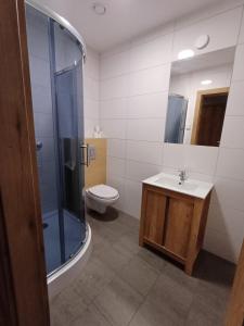 a bathroom with a toilet and a shower and a sink at Noclegi u Wilka in Chorzelów +9 photos