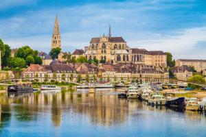 a city with boats docked in a river with buildings at Le Duplex du Pont in Auxerre
