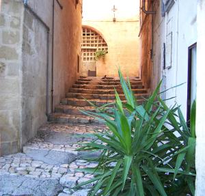 un callejón con escaleras y una planta frente a un edificio en Dimora nei Sassi, en Matera