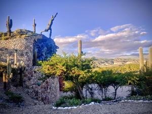 a group of cacti and trees in front of a stone building at Casa Ayres de la Quebrada in Humahuaca