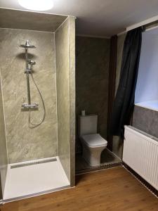 a bathroom with a shower and a toilet at Haus am Freilinger See Bar in Blankenheim