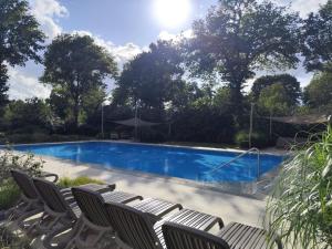 a swimming pool with lounge chairs and the sun at Chalet Pallegarste 153 in Mariënberg