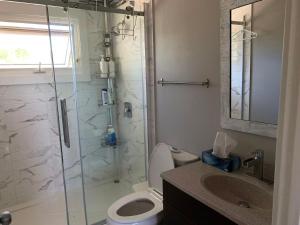 a bathroom with a shower and a toilet and a sink at 101 Harborview Drive in North Rustico