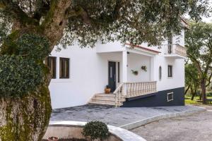 a white house with a tree in front of it at Olive House in Fátima
