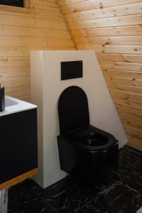a bathroom with a black toilet in a room at Lumina Cottage in Gudauri